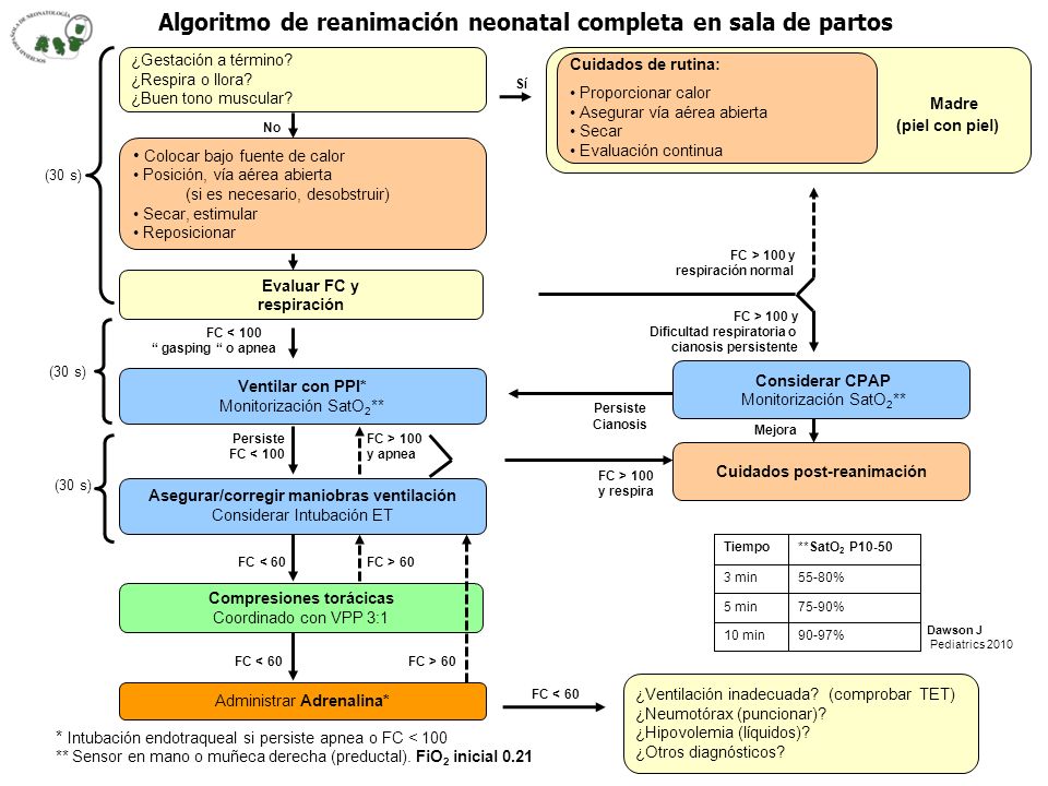 REANIMACION NEONATAL 6TA EDICION EPUB DOWNLOAD REANIMACION NEONATAL 6TA EDICION EPUB DOWNLOAD